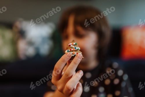 Preview: Christmas biscuit