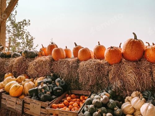 Preview: Pumpkins
