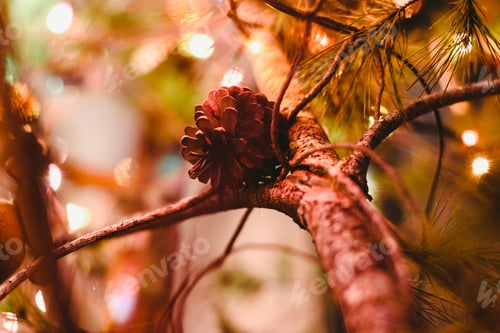 Preview: Pinecone on a illuminated Christmas tree.
