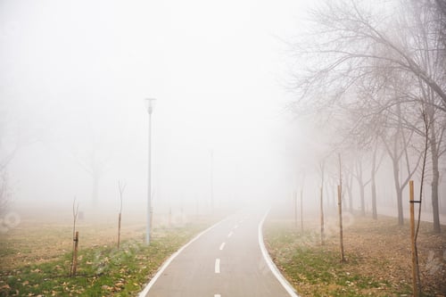 Preview: Bike path in the foggy winter day