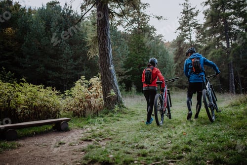 Preview: Rear view of senior couple bikers walking and pushing e-bikes outdoors in forest in autumn day