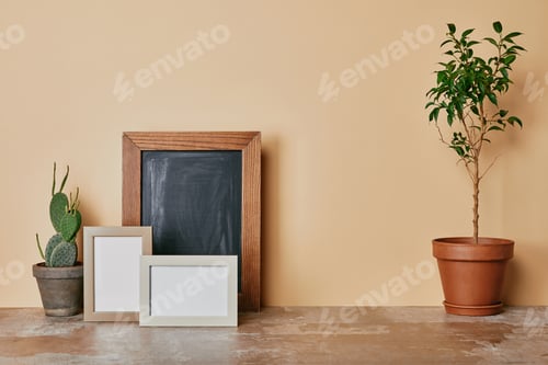 Preview: Plants and photo frames on dusty table on beige background