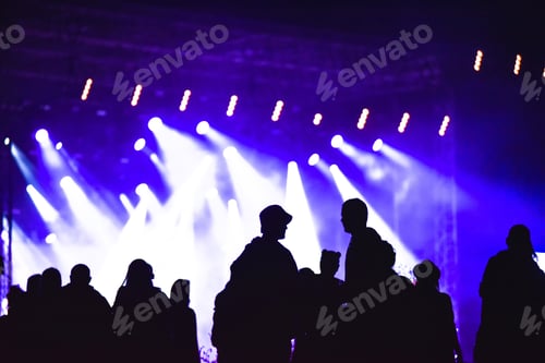 Preview: Group of friends enjoying music festival together. Silhouette of friends socializing at a concert