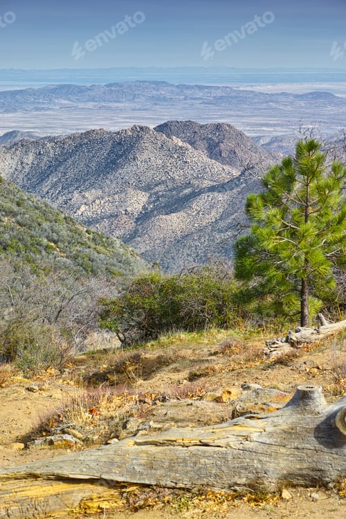 Preview: Californian desert - Anza-Borrego