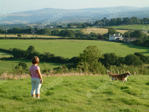 Preview: Little girl with a dog in a field in the Devon countryside, on top of a hill with a fantastic view