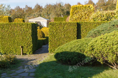 Preview: Cottage garden with green lawn, trees and trimmed bushes.
