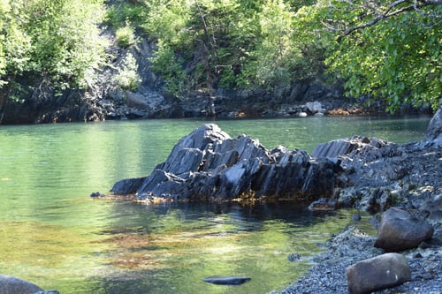 Preview: Colorful rocky inlet in cove at Douglas Island off Juneau Alaska. Rocky black rocks in green yellow