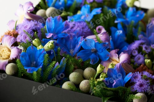 Preview: Flower arrangement
