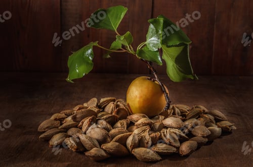 Preview: ripe apricot berries