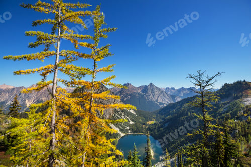 Preview: Autumn in Washington