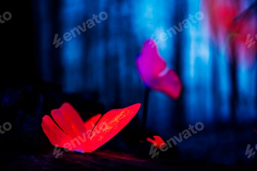 Preview: Glowing insects in the night forest