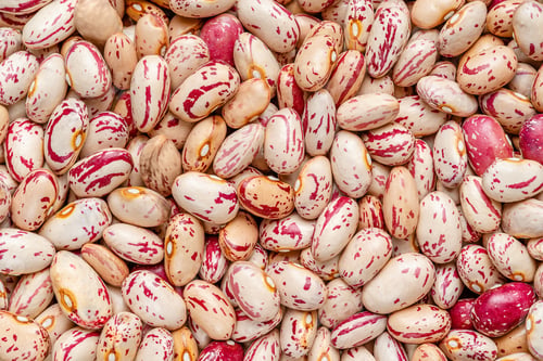 Preview: Kidney beans texture, Top view, food background.