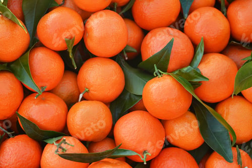 Preview: Bunch of fresh oranges tangerines on a market
