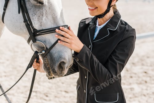 Preview: cropped image of smiling female equestrian palming horse at horse club