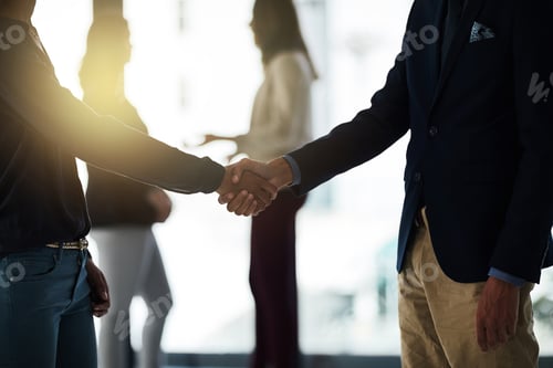 Preview: Shot of two silhouetted businesspeople shaking hands in front of a window in the office