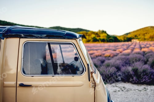 Preview: Lavender field in summer sunny day with retro car on first plan.