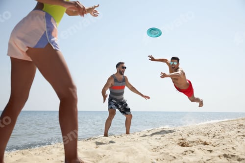 Preview: Friends playing with flying disk at beach on sunny day