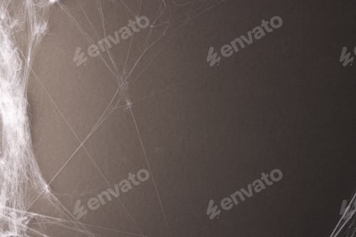 Preview: Halloween spiderweb decorations with copy space on grey background