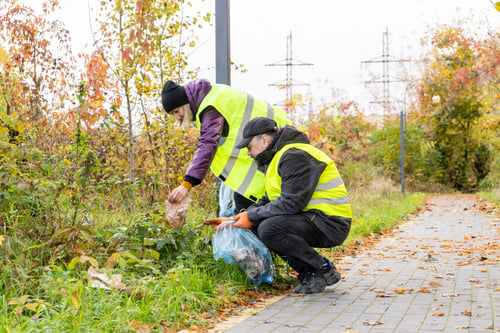 Preview: Volunteers Cleaning Up Trash Outdoors in Autumn
