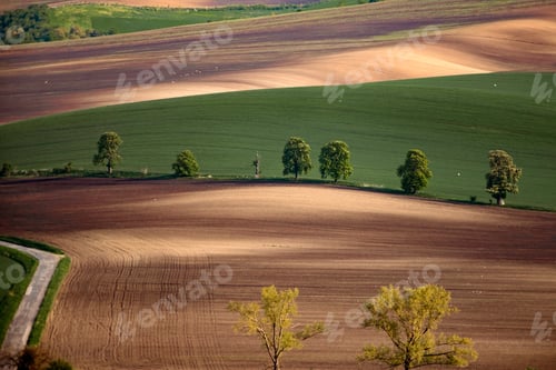 Preview: Gorgeous rural landscape with green sunny spring hills. South Moravia region, Czech Republic