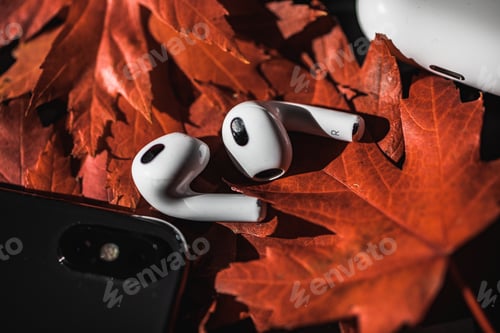 Preview: Wireless earphones on orange leaves