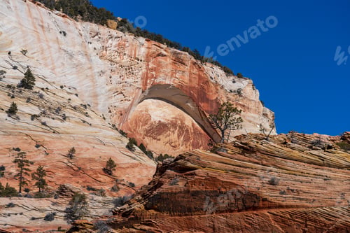 Preview: Upper East Canyon in Zion National Park