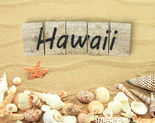 Preview: Hawaii on wooden board pieces with sea shells and sand