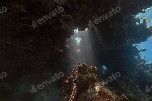 Preview: Underwater view of grotto in Anegada, British Virgin Islands