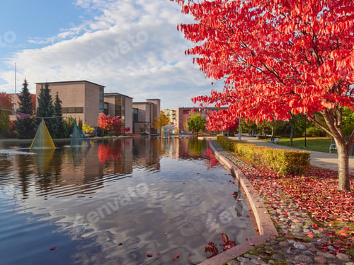 Preview: Public park in Europe and urban modern architecture.