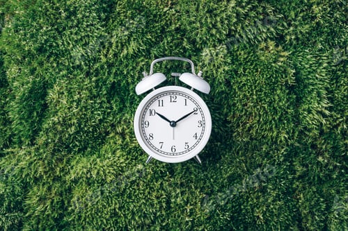 Preview: Alarm clock on green grass, moss background. Top view. Copy space. Ecology of sleeping