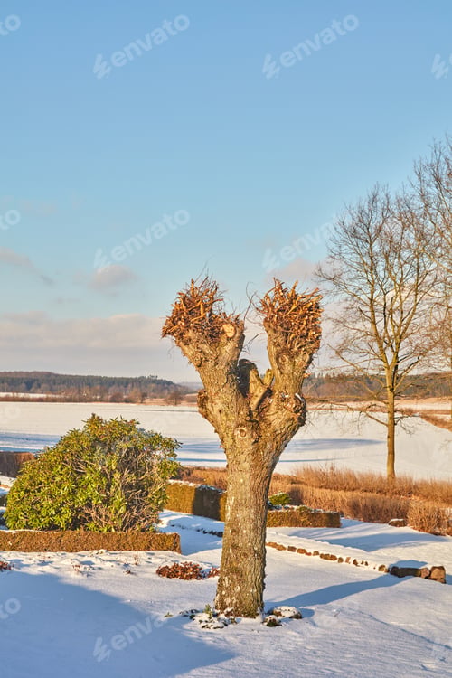 Preview: Wintertime in Denmark
