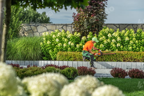 Preview: Garden Worker Shaping Front Yard Plants Using Hedge Trimmer
