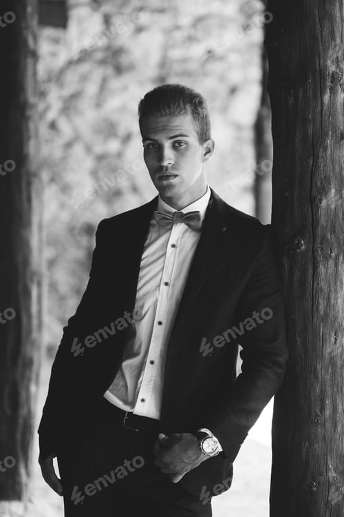 Preview: Portrait of elegant handsome man in black suit and bow-tie. Male fashion model