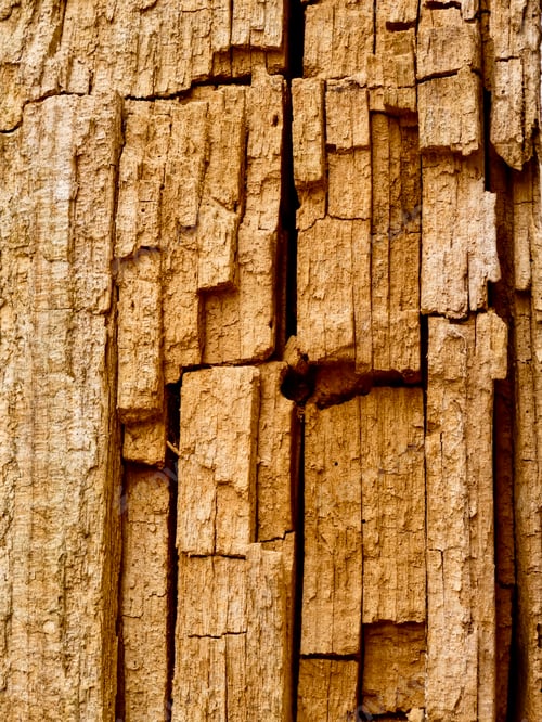 Preview: Wood texture