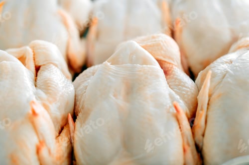 Preview: Raw butchered chicken