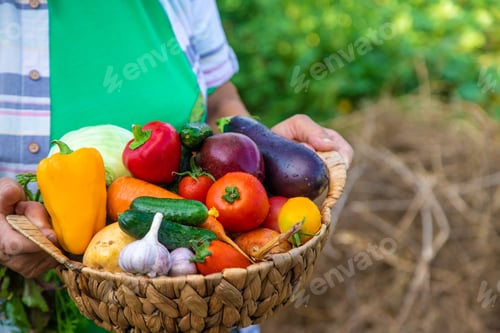 Preview: food