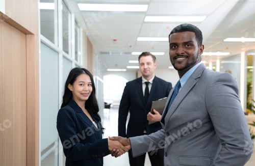 Preview: Handshake shows cooperation, achievements, congratulations or even greetings.