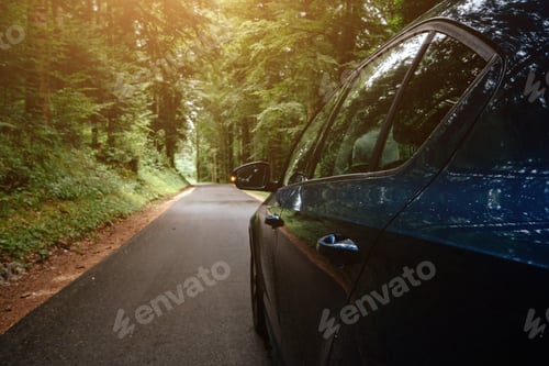 Preview: The car on the road with the forest around it.