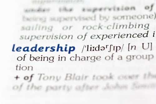 Preview: Dictionary definition of word