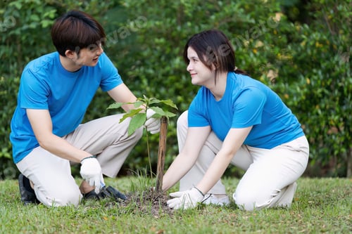 Preview: Young Couple Planting a Tree Together in a Park, Promoting Environmental Awareness and Teamwork in