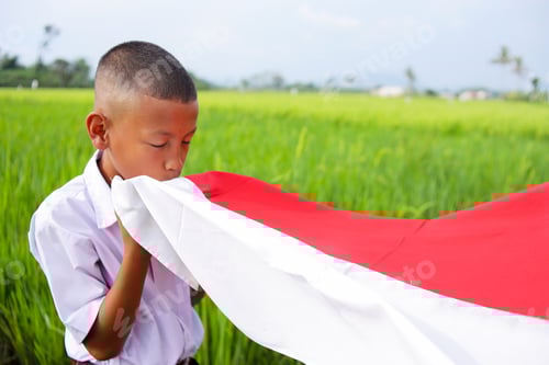 Preview: Boy Holding a Flag in a Green Field