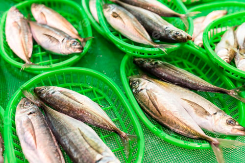 Preview: Fish in basket
