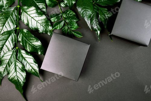 Preview: Mockup for black gift box a dark background with green leaves