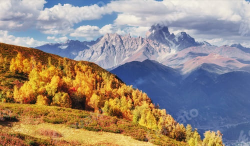 Preview: Thick fog on the mountain pass Goulet. Georgia, Svaneti. Europe.