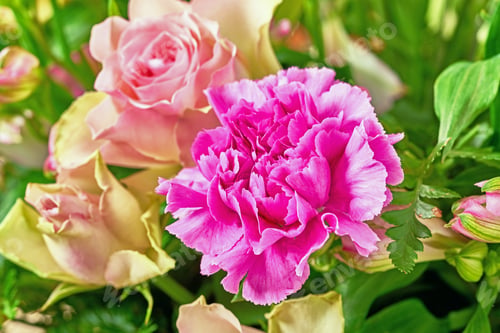 Preview: Beautiful bouquet of flowers. Bouquet with different kind of flowers.