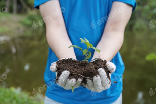 Preview: Volunteers Planting Trees for Environmental Conservation and Community Greening Efforts
