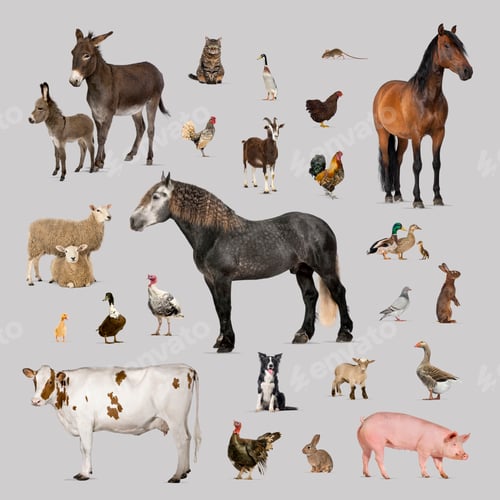 Preview: Large group of many farm animals standing together