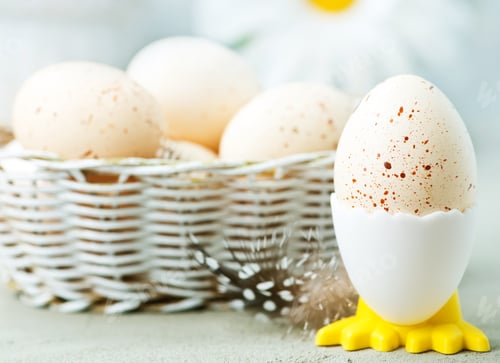Preview: easter background