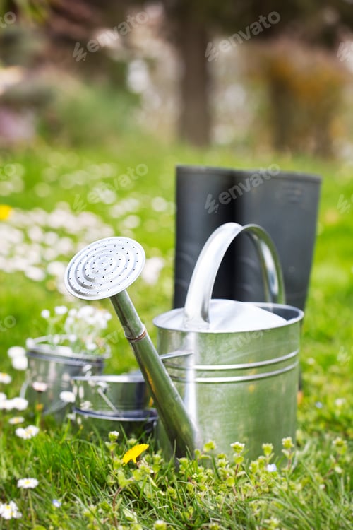 Vorschau: Garten