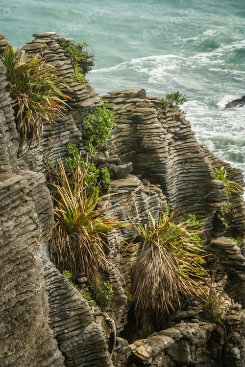 Preview: Pancake rocks on the coast
